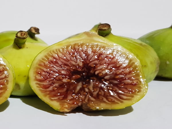 تصویر 2 از خرید انجیر سفید عسلی + قیمت فروش استثنایی